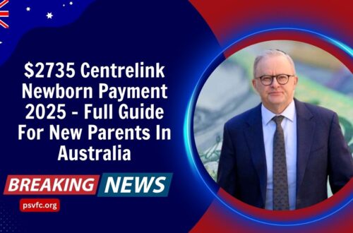 $2735 Centrelink Newborn Payment 2025 – Full Guide For New Parents In Australia
