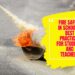 Fire Safety In Schools- Best Practices For Students And Teachers