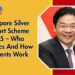 Singapore Silver Support Scheme 2025 – Who Qualifies And How Payments Work